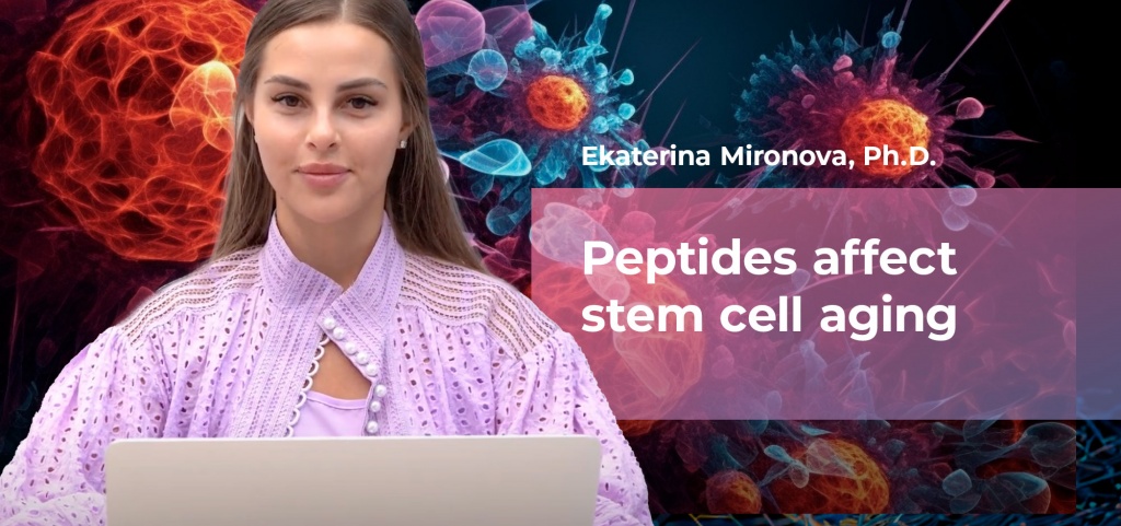 banner-eu-Mironova-Peptides-affect-stem-cell-aging.jpg
