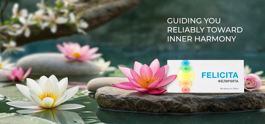 Felicita – guiding you reliably toward inner harmony