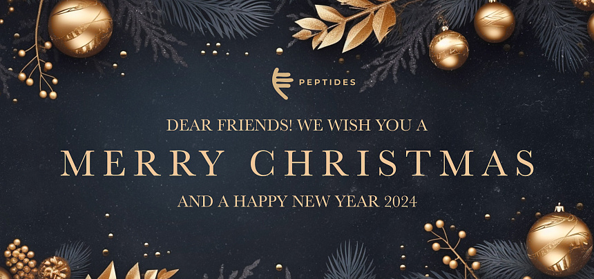 Merry Christmas and Happy New Year 2024!