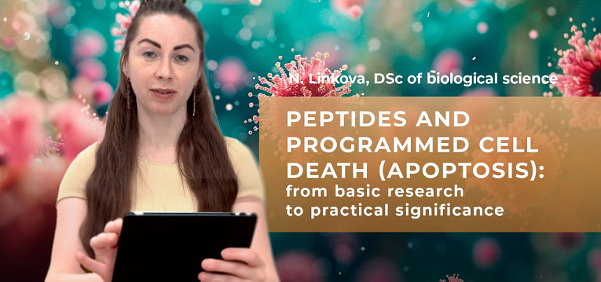 Peptides and Apoptosis: Insights into Disease Mechanisms