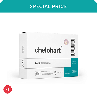 Special price «Chelohart N20 (3pc)»