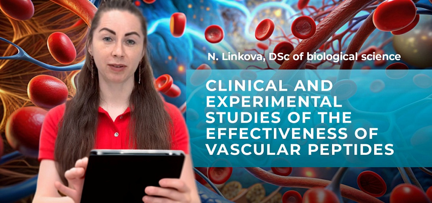Clinical and experimental studies of the effectiveness of vascular peptides