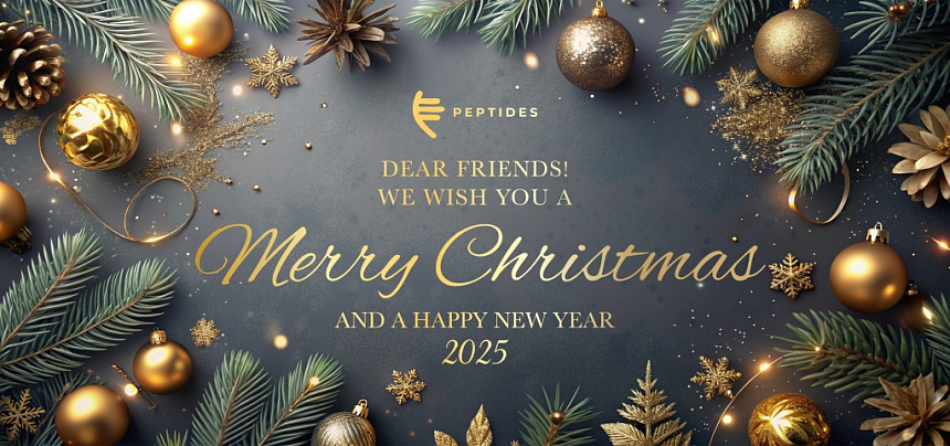 Work schedule during Christmas and New Year holidays 2024-2025